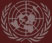 u.n. logo
