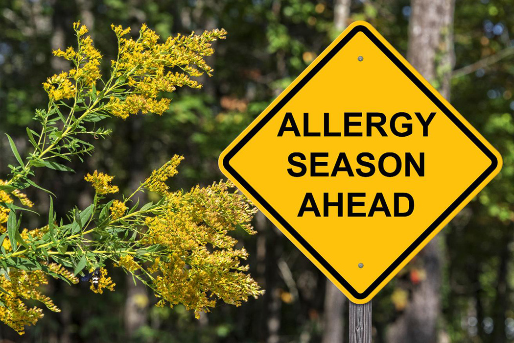 Allergy-Alert